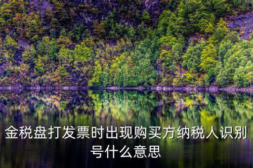 購(gòu)貨方識(shí)別號(hào)是什么，開(kāi)票方識(shí)別號(hào)是什么意思