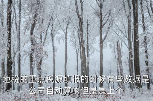 為什么重點(diǎn)稅源是上個(gè)月的數(shù)據(jù)，地稅的重點(diǎn)稅源填報(bào)的時(shí)候有些數(shù)據(jù)是公司自動(dòng)算的但是是上個(gè)