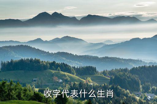 稅字代表什么生肖，十二生肖各代表什么字