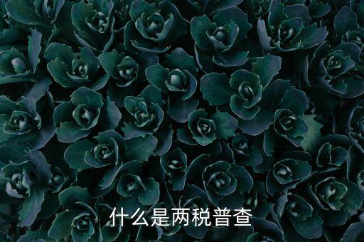 兩稅普查是什么意思，進(jìn)口兩稅是什么