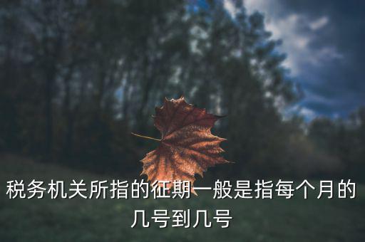 什么時候可以建立征期，北京國稅網(wǎng)上申報系統(tǒng)是不是只能在每個月初才可以新建征期呢我