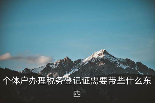 個體稅務(wù)登記證需要什么材料，個體戶辦理稅務(wù)登記證需要帶些什么東西