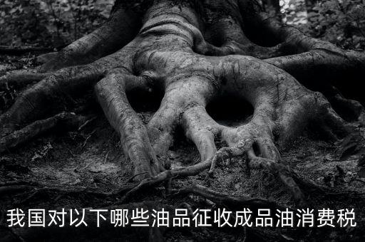 我國對以下哪些油品征收成品油消費稅