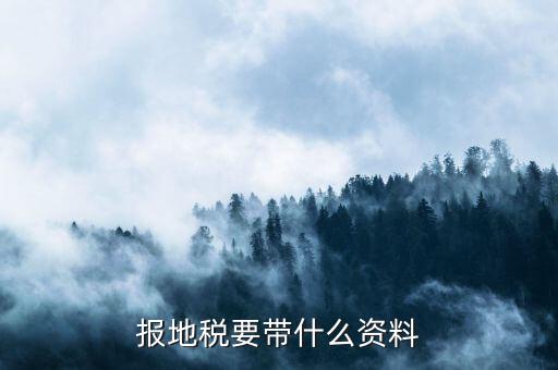 地稅逾期申報(bào) 帶什么資料，我們公司的地稅逾期申報(bào)了是要去地稅補(bǔ)申報(bào)那需要帶什么資料