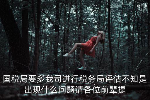 國稅評(píng)估局是干什么的，國稅局是做什么的說簡單點(diǎn)兒吧謝謝