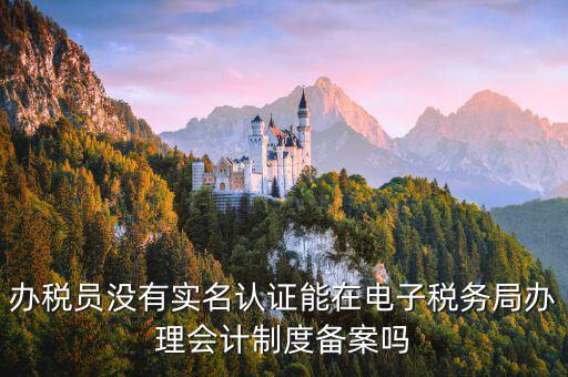 辦稅員沒有實(shí)名認(rèn)證能在電子稅務(wù)局辦理會(huì)計(jì)制度備案嗎