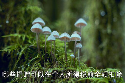 什么捐贈可以稅前扣除，求助企業(yè)在所得稅前可以扣除的捐贈支出