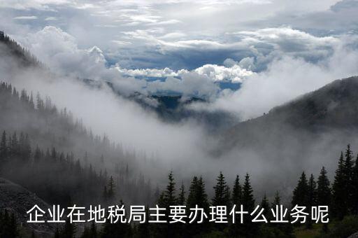 廣州地稅辦理什么業(yè)務(wù)，廣州稅務(wù)登記