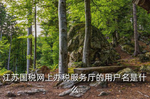 江蘇國稅用戶名密碼是什么意思，江蘇國稅網(wǎng)上辦稅服務(wù)廳的用戶名是什么