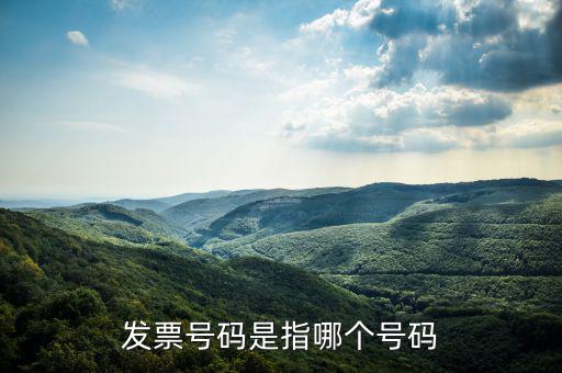 什么是發(fā)票的查詢號(hào)，發(fā)票號(hào)碼是指哪個(gè)號(hào)碼
