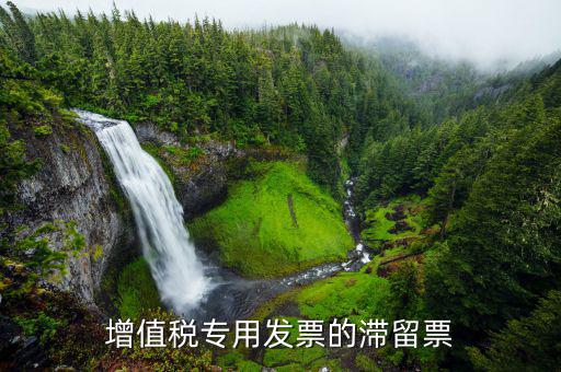 滯留票核查工作是干什么的，稅務(wù)局會(huì)查到期未抵扣的滯留增值稅專用發(fā)票嗎用來查帳外帳