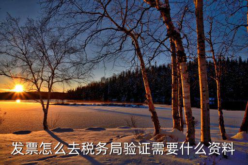 到稅務(wù)局認(rèn)證發(fā)票需要帶什么，去稅務(wù)局認(rèn)證發(fā)票需要帶什么資料呢