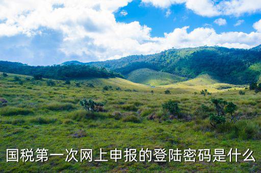 浙江國稅登入密碼是什么意思，稅務局網(wǎng)站的登入賬戶初始密碼是什么