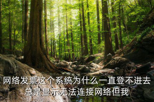 網(wǎng)絡(luò)發(fā)票 登錄密碼是什么情況，樂稅社區(qū)稅友咨詢問題增值稅發(fā)票查詢平臺登錄密碼是什么