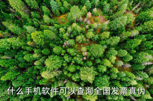 驗發(fā)票真假什么軟件，請問有沒有學(xué)習(xí)增值稅防偽開票的模仿操作軟件