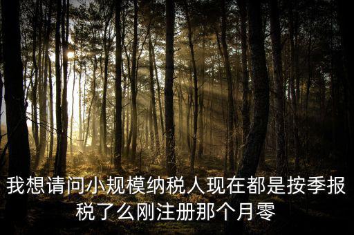 小規(guī)模什么時(shí)候零申報(bào)，增值稅小規(guī)模納稅人免稅零申報(bào)的歸屬期間