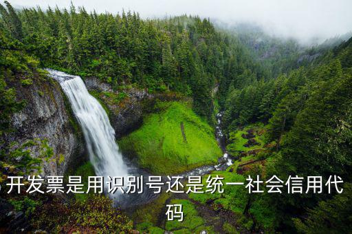 發(fā)票統(tǒng)一社會(huì)信用代碼是什么意思，開發(fā)票是用識(shí)別號(hào)還是統(tǒng)一社會(huì)信用代碼