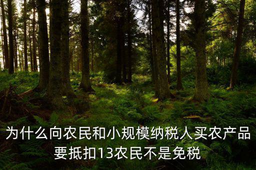 農(nóng)產(chǎn)品為什么要扣除，為什么向農(nóng)民和小規(guī)模納稅人買農(nóng)產(chǎn)品要抵扣13農(nóng)民不是免稅