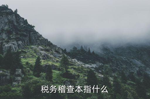 什么叫稅務(wù)稽查檢查科臺(tái)帳范本，稅務(wù)稽查本指什么