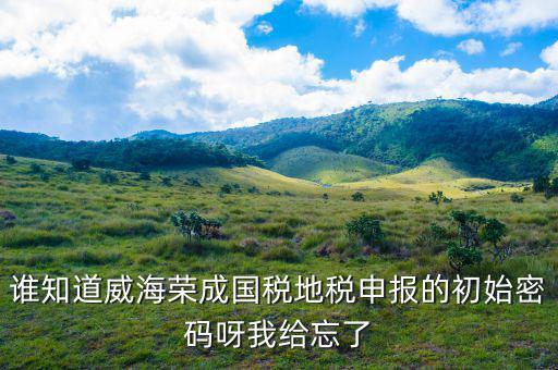 山東默認(rèn)國(guó)稅密碼是什么，登錄國(guó)稅網(wǎng)上辦稅服務(wù)廳的用戶(hù)名和密碼是什么