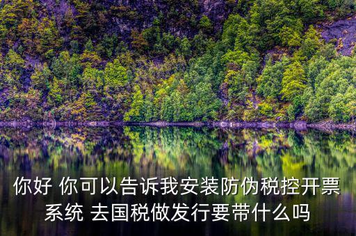 稅控發(fā)行是要做什么，稅控盤發(fā)行都呆哪些東西去稅務(wù)局需要法人去嗎
