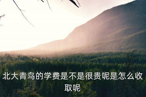 國(guó)稅局安靜工程是什么，北大青鳥的學(xué)費(fèi)是不是很貴呢是怎么收取呢
