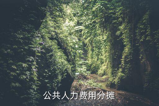 機(jī)關(guān)費用按時什么分?jǐn)?，公共人力費用分?jǐn)?/></a></span><span id=