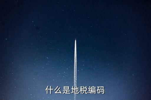 稅收編號是什么意思，稅務(wù)登記證上的企業(yè)編碼是什么意思不是就是稅務(wù)號