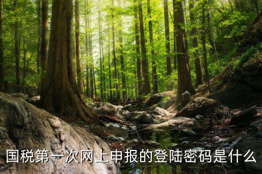 國稅第一次網上申報的登陸密碼是什么