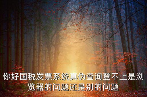 國(guó)稅登不上什么情況，為什么稅號(hào)密碼都對(duì)還是無法登錄國(guó)稅