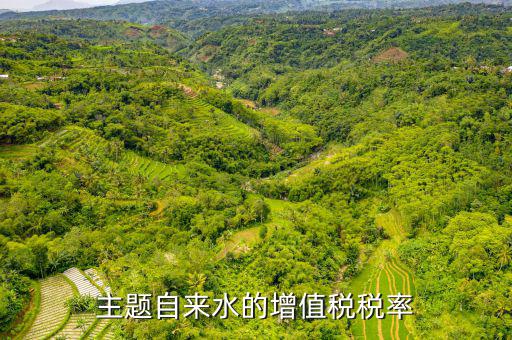 自來(lái)水稅率為什么是3，水費(fèi)稅率是不是要調(diào)劑為3