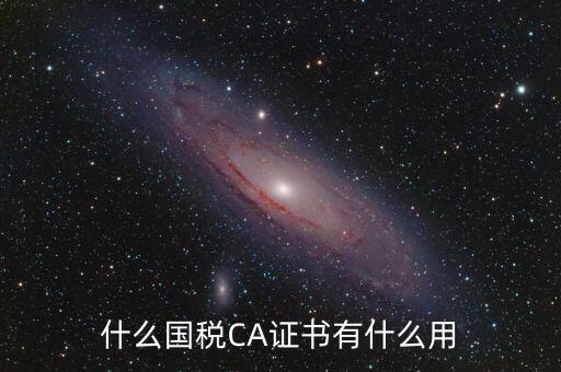 國稅ca登錄是什么，什么國稅CA證書有什么用