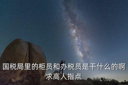 國稅志愿者可以做什么，國稅局里的柜員和辦稅員是干什么的啊求高人指點
