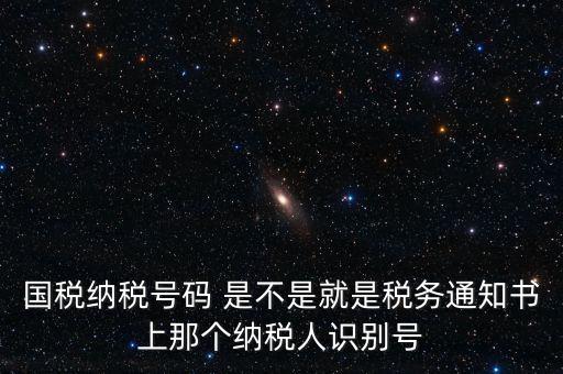 國稅稅務(wù)號(hào)是什么意思，國稅納稅號(hào)碼 是不是就是稅務(wù)通知書上那個(gè)納稅人識(shí)別號(hào)