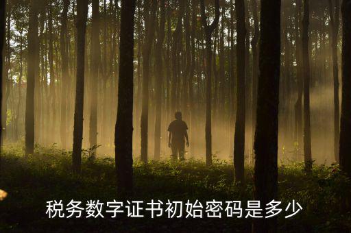 地稅數(shù)字證書的密碼是什么，稅控證書密碼是多少只有可能是8位嗎