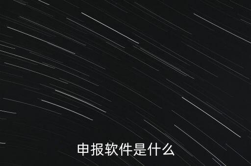 增值稅申報用什么軟件，申報軟件是什么