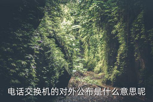 對(duì)外公開電話有什么，福建省廈門市湖里區(qū)人民法院對(duì)外公開號(hào)碼都有哪些