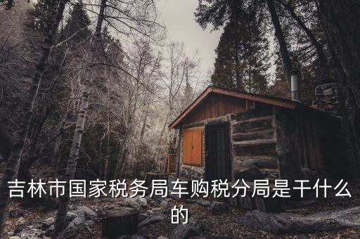 車購稅局主要干什么，新車去地稅局干什么
