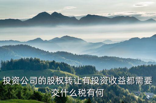 投資公司都要納什么稅，外商投資企業(yè)以設備投資需要交什么稅