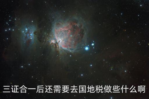 去國地稅是做什么，公司銀行年檢去國地稅開發(fā)票等事務(wù)是會計的職責(zé)還是出納的職責(zé)
