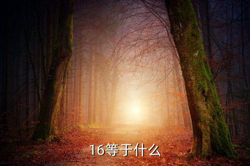 什么深圳1 6政策指，16等于什么