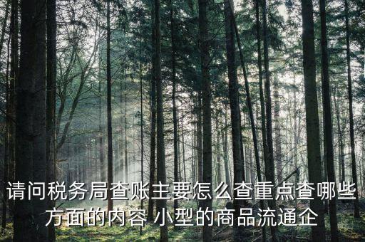 重點(diǎn)稅源稅務(wù)局看什么，稅務(wù)局主要看報(bào)表的什么