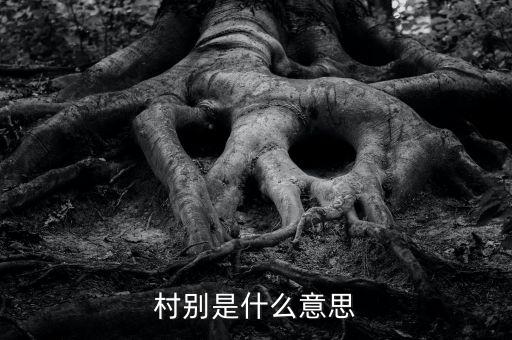 稅務(wù)所村審是什么意思，村別是什么意思