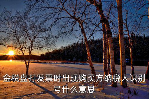 發(fā)票的付款方識(shí)別號(hào)是什么意思，開(kāi)票方識(shí)別號(hào)是什么意思