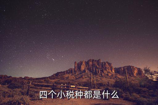 地稅小稅種是什么意思，四個(gè)小稅種都是什么