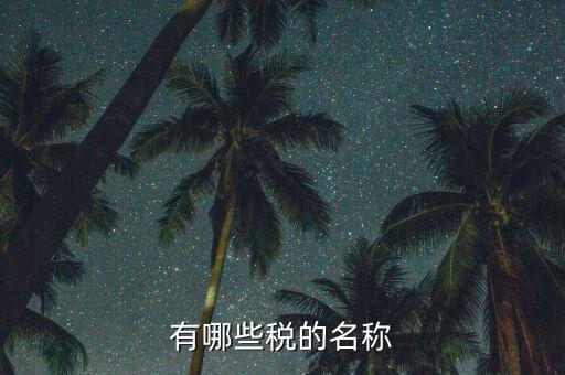 什么是稅收名稱大類(lèi)，增值稅普通發(fā)票的商品名稱寫(xiě)大類(lèi)稅務(wù)局能通過(guò)嗎