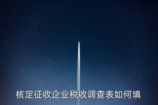 什么企業(yè)填稅收調(diào)查表，核定征收企業(yè)稅收調(diào)查表如何填