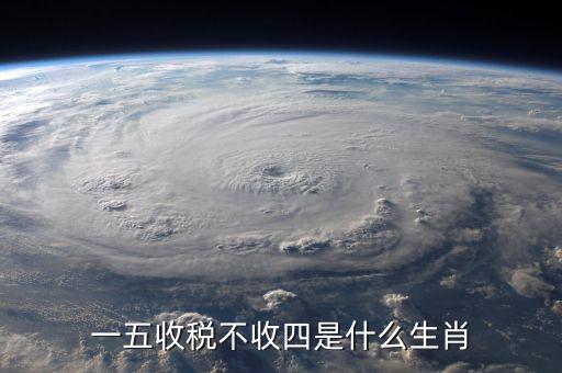 什么生肖要打稅，稅意新榮打一生肖