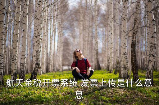 航天金稅是什么，航天金稅接口是什么意思呢