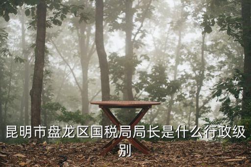 昆明市盤(pán)龍區(qū)國(guó)稅局局長(zhǎng)是什么行政級(jí)別